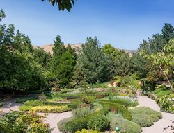 Red Butte Botanical Garden
Garden Design
Calimesa, CA