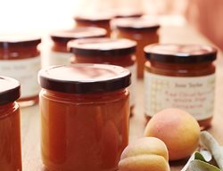 Red Cloud Apricot & White Sage Conserve
Garden Design
Calimesa, CA