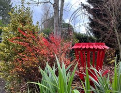 Red Garden Art Piece
Garden Design
Calimesa, CA