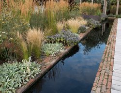 Reflection Pool, Herbaceous Border
Garden Design
Calimesa, CA