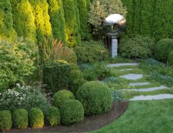  Reflective Garden Sculpture, Evergreen Garden
Garden Design
Calimesa, CA