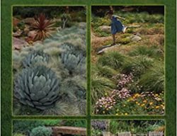 Reimagining The California Lawn
Garden Design
Calimesa, CA