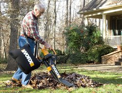 Remove Fallen Leaves
Garden Design
Calimesa, CA