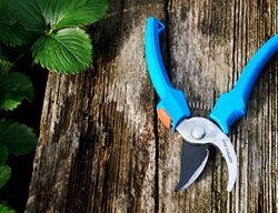 Repair And Clean Garden Tools
Garden Design
Calimesa, CA