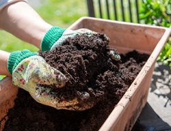 Replenish Soil Without Tilling
Garden Design
Calimesa, CA