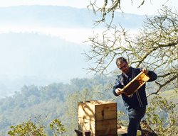 Rob Keller, Beekeeper, Napa Valley Bee Co
Napa Valley Bee Co. 
Napa, CA
