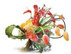 Rob-Plattel-Arrangement-1
Garden Design
Calimesa, CA