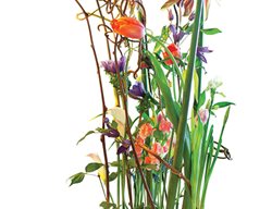 Rob-Plattel-Arrangement
Garden Design
Calimesa, CA