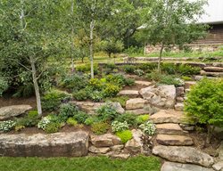 Rock Garden Hillside
Proven Winners
Sycamore, IL