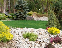 Rock Garden With Perennials And Shrubs
Shutterstock.com
New York, NY