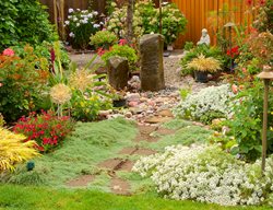 Rock Garden With Plants
Garden Design
Calimesa, CA