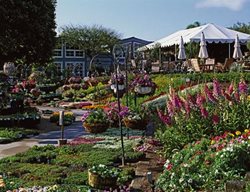 Rogers-Gardens
Garden Design
Calimesa, CA