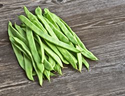 Roma Ii Green Beans, Phaseolus Vulgaris, Romano Bush Bean
Shutterstock.com
New York, NY