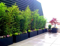 Roof Terrace, Bamboo Planters
Amber Freda Home & Garden Design
New York, NY