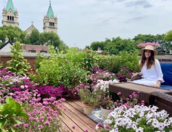 Rooftop Deck Garden
Garden Design
Calimesa, CA