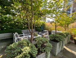 Rooftop Terrace
Garden Design
Calimesa, CA