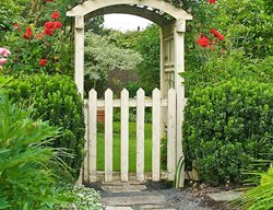 Rose-Covered Gate
Garden Design
Calimesa, CA