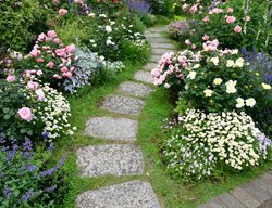 Rose Garden Path
Shutterstock.com
New York, NY