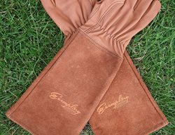 Rose Pruning Gloves
Garden Design
Calimesa, CA