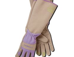 Rose Pruning Gloves
Garden Design
Calimesa, CA