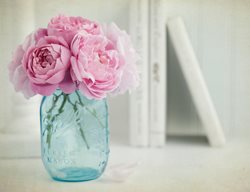 Roses In Mason Jar, Pink Roses
Shutterstock.com
New York, NY