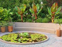 Round Water Lily Pool
Garden Design
Calimesa, CA