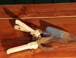 Rusty Garden Tools, Pruners, Spade
Shutterstock.com
New York, NY