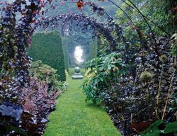 Sakonnet Rhode Island
Garden Design
Calimesa, CA