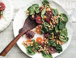 Salad With Navy Beans, Salad With Blood Oranges
Garden Design
Calimesa, CA