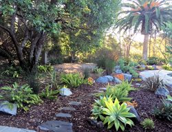 San Diego, Del Mar Garden
San Diego Horticultural Society
Encinitas, CA
