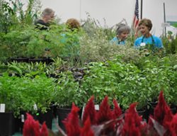 San Diego
Garden Design
Calimesa, CA
