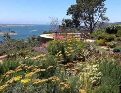 San Diego Spring Garden Tour
Garden Design
Calimesa, CA