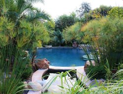 San Diego, Tropical Garden
San Diego Horticultural Society
Encinitas, CA