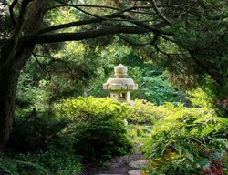 San Francisco Botanical Garden, San Francisco Garden, Shaded Path
Garden Design
Calimesa, CA
