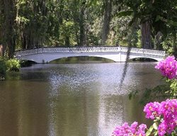 Savannah
Garden Design
Calimesa, CA