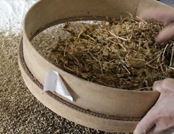 Save Seeds
Garden Design
Calimesa, CA