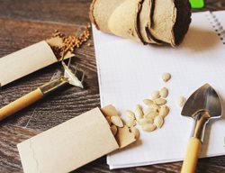 Save Seeds
Garden Design
Calimesa, CA