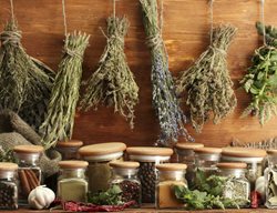 Save Your Summer Bounty
Garden Design
Calimesa, CA