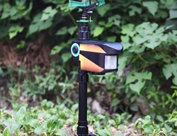 Scarecrow Sprinkler
Garden Design
Calimesa, CA