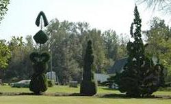 Sculpted Trees
Garden Design
Calimesa, CA