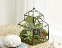 Sculptural Terrarium, Brass Terrarium
Ballard Designs
