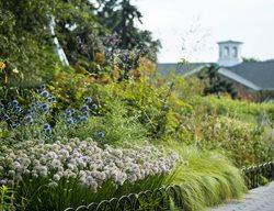 Seasonal Walk
Garden Design
Calimesa, CA