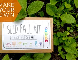 Seed Balls, Plant, Pollinators
Garden Design
Calimesa, CA