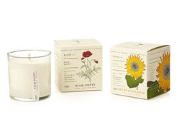 Seed Candle
Garden Design
Calimesa, CA