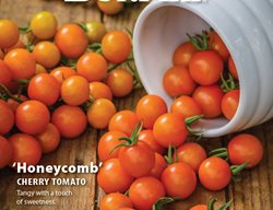 Seed Catalog, Burpee
Burpee
Warminster, PA