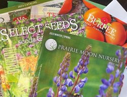 Seed Catalogs And Coffee
Garden Design
Calimesa, CA