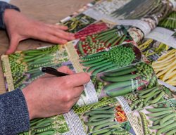 Seed Catalogs
GAP Photos
