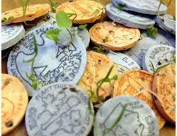 Seed Money, Seed Coins
Garden Design
Calimesa, CA