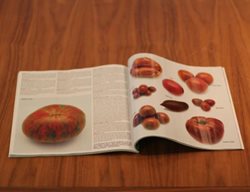 Seeds, Bulbs, And Plants
Garden Design
Calimesa, CA