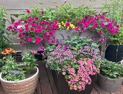 Self-Watering Flower Pots
Garden Design
Calimesa, CA